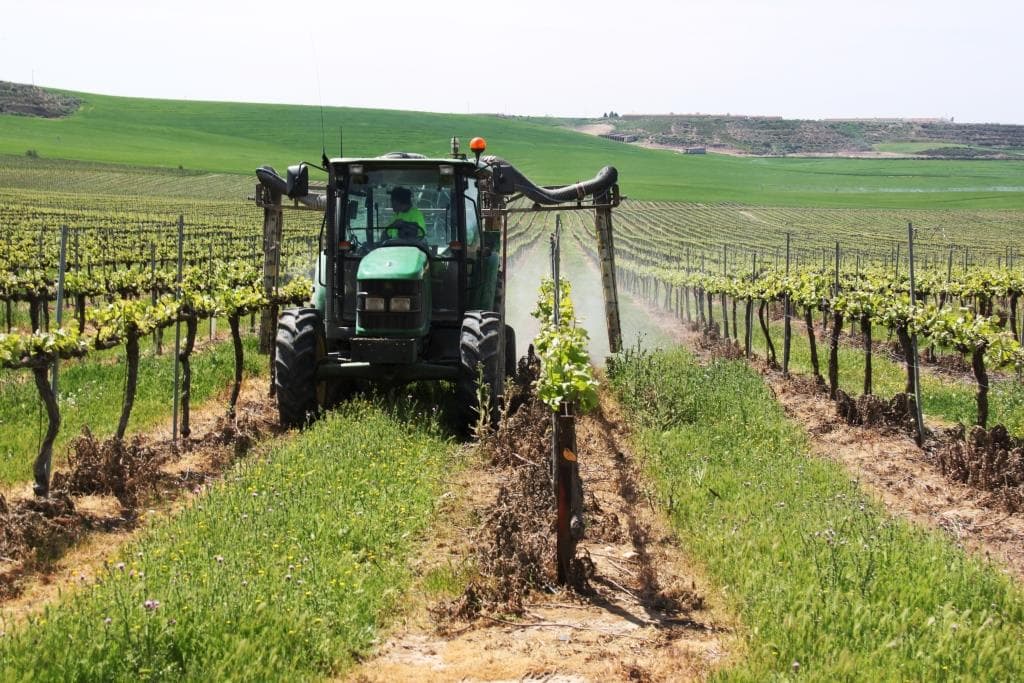 La FCAC demana l'autorització urgent d'insecticides contra plagues de la fruita