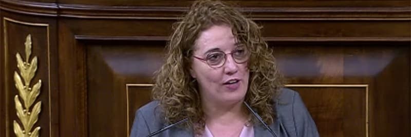 ERC recrimina al govern espanyol “el mal estat” de la xarxa ferroviària a les comarques de Lleida