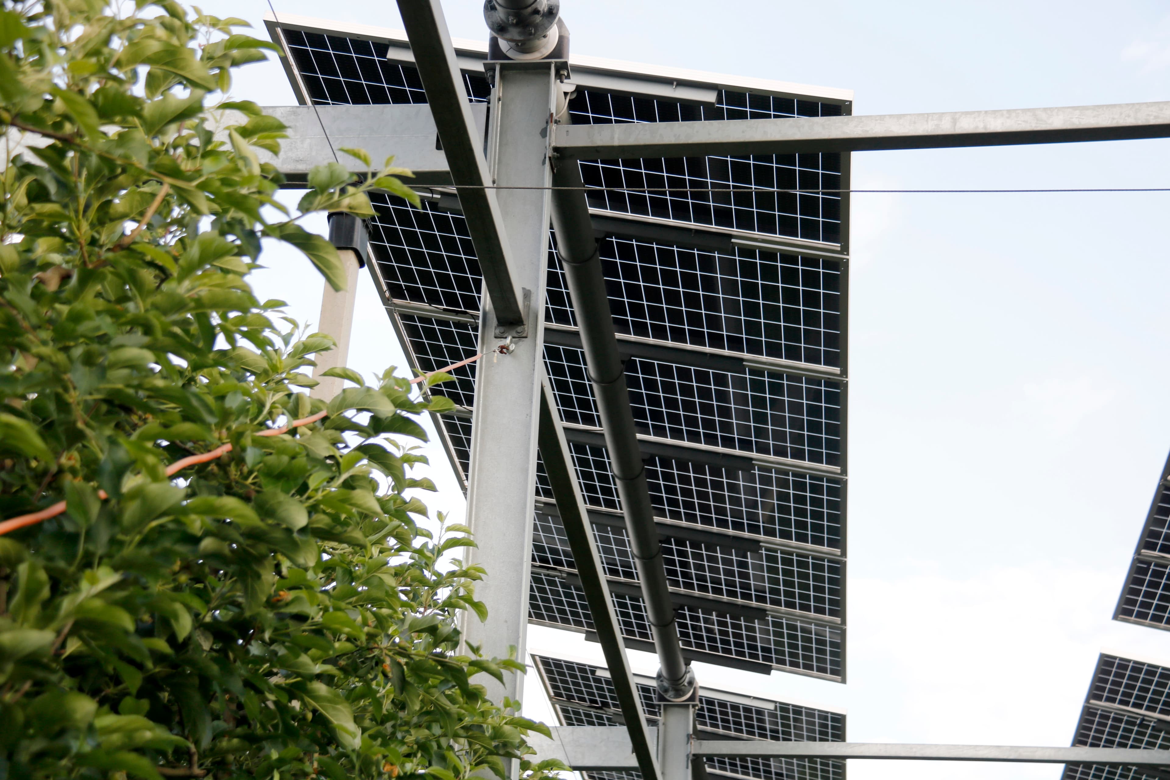El territori de Ponent busca solucions per incorporar les energies renovables sense comprometre sòl agrari