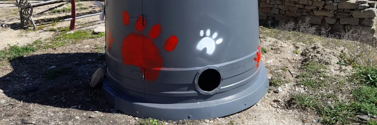 El Consell Comarcal de la Segarra impulsa un projecte per a la gestió de colònies felines