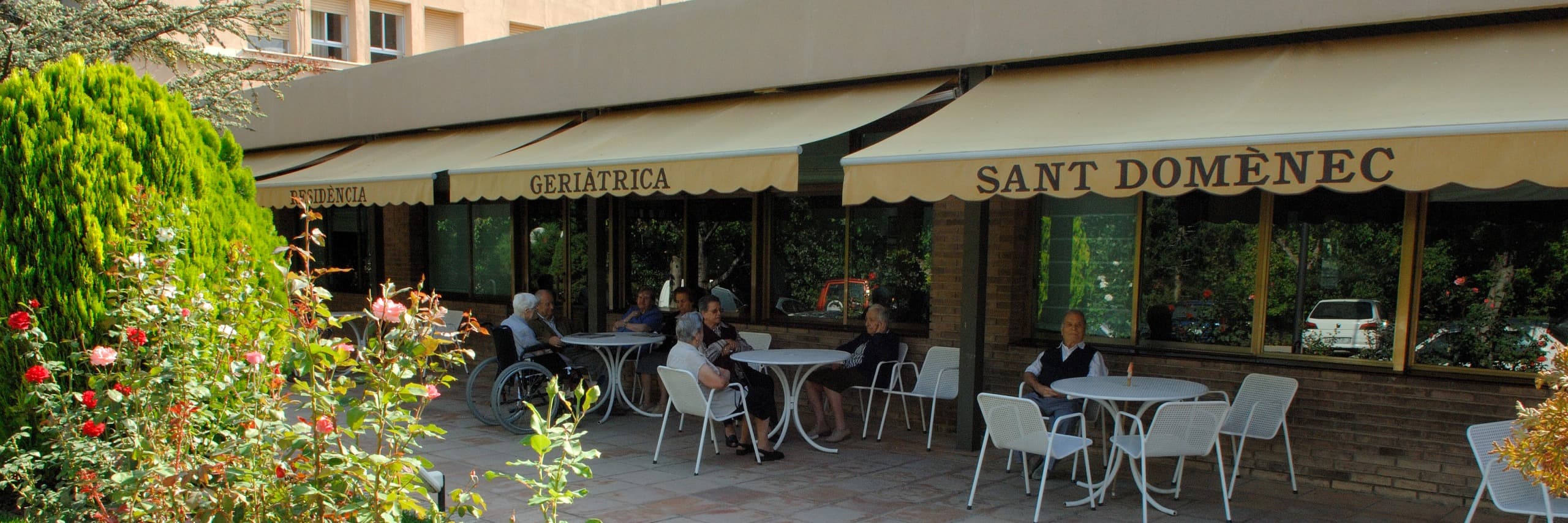 Un senglar irromp en una residència de gent gran de Balaguer i fereix una treballadora