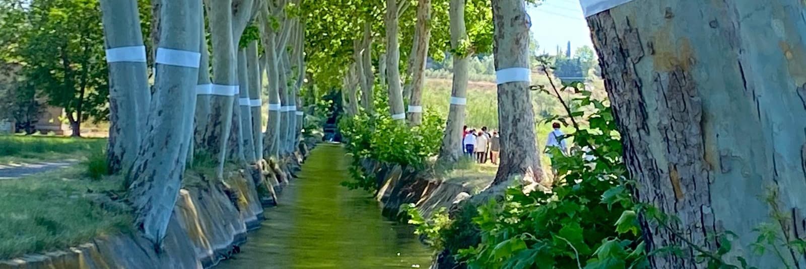 La Fundació Canals d’Urgell proposa descobrir la Quarta Sèquia Principal amb una nova ruta guiada en bicicleta