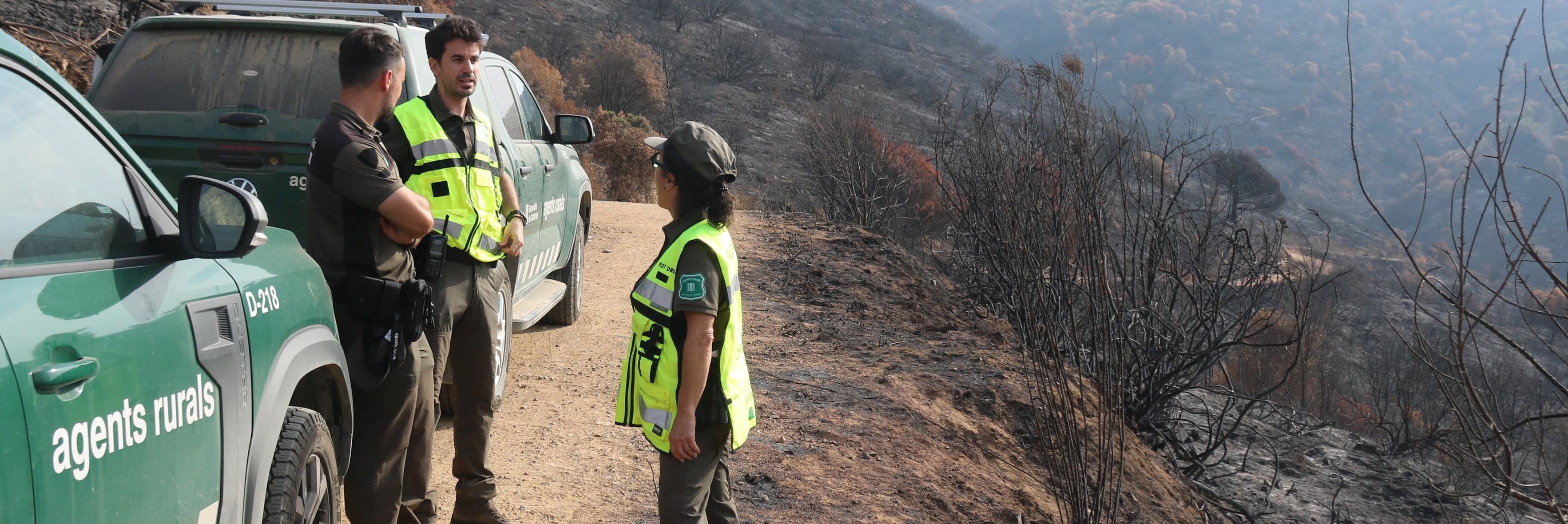 Una trentena de municipis catalans continuen aquest divendres en nivell 4 del Pla Alfa per perill extrem d'incendi