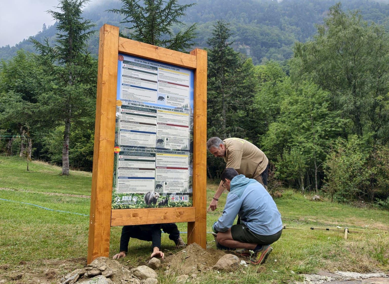 L’Associació de Defensa del Llop i de l’Os al Pirineu instal·la el primer cartell divulgatiu sobre l'os bru a la Val d'Aran