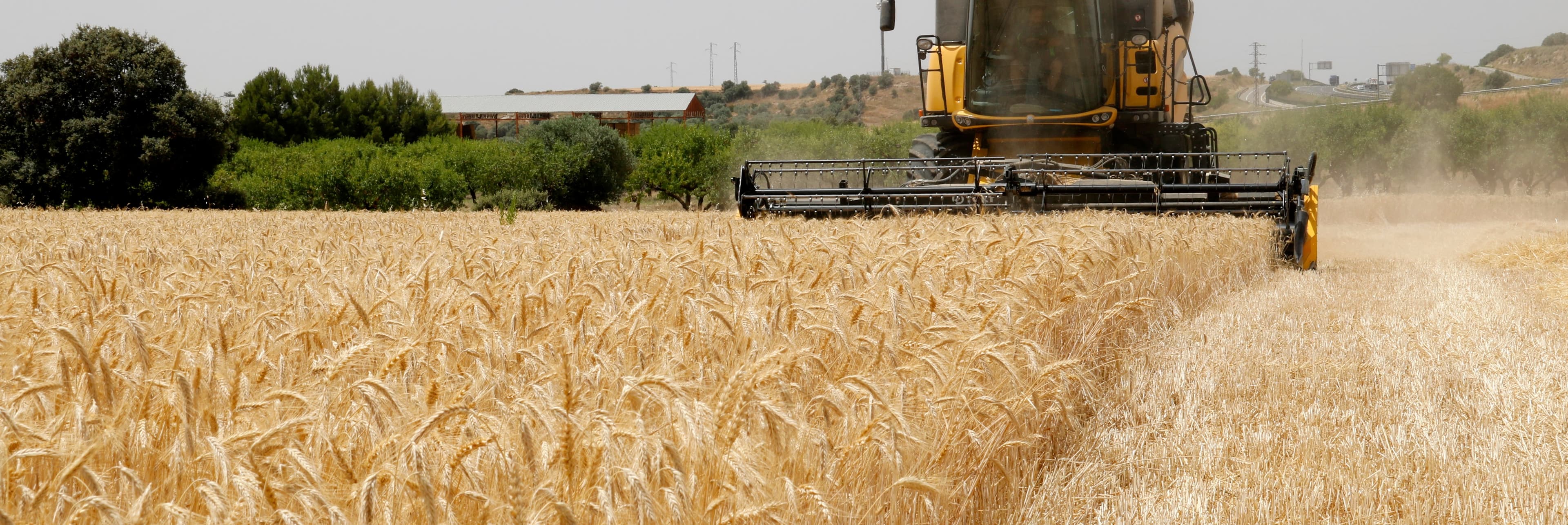 El govern espanyol abonarà 27,3 milions d’euros a agricultors catalans en ajudes per comprar fertilitzants