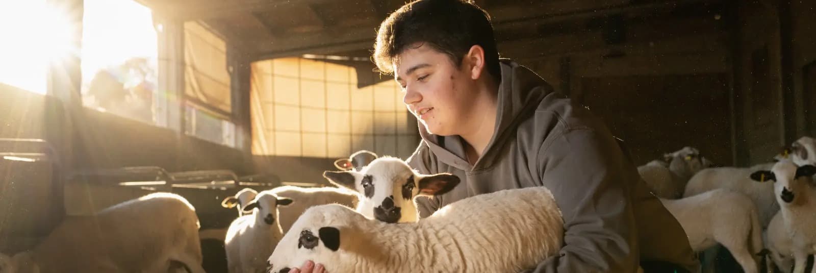 JARC demana flexibilitzar temporalment l’alimentació de la ramaderia ecològica per la manca de pastures