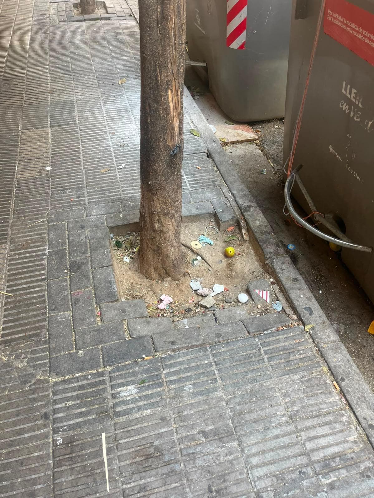El grup municipal del Partit Popular a Lleida qüestiona la campanya d’arbres de La Paeria