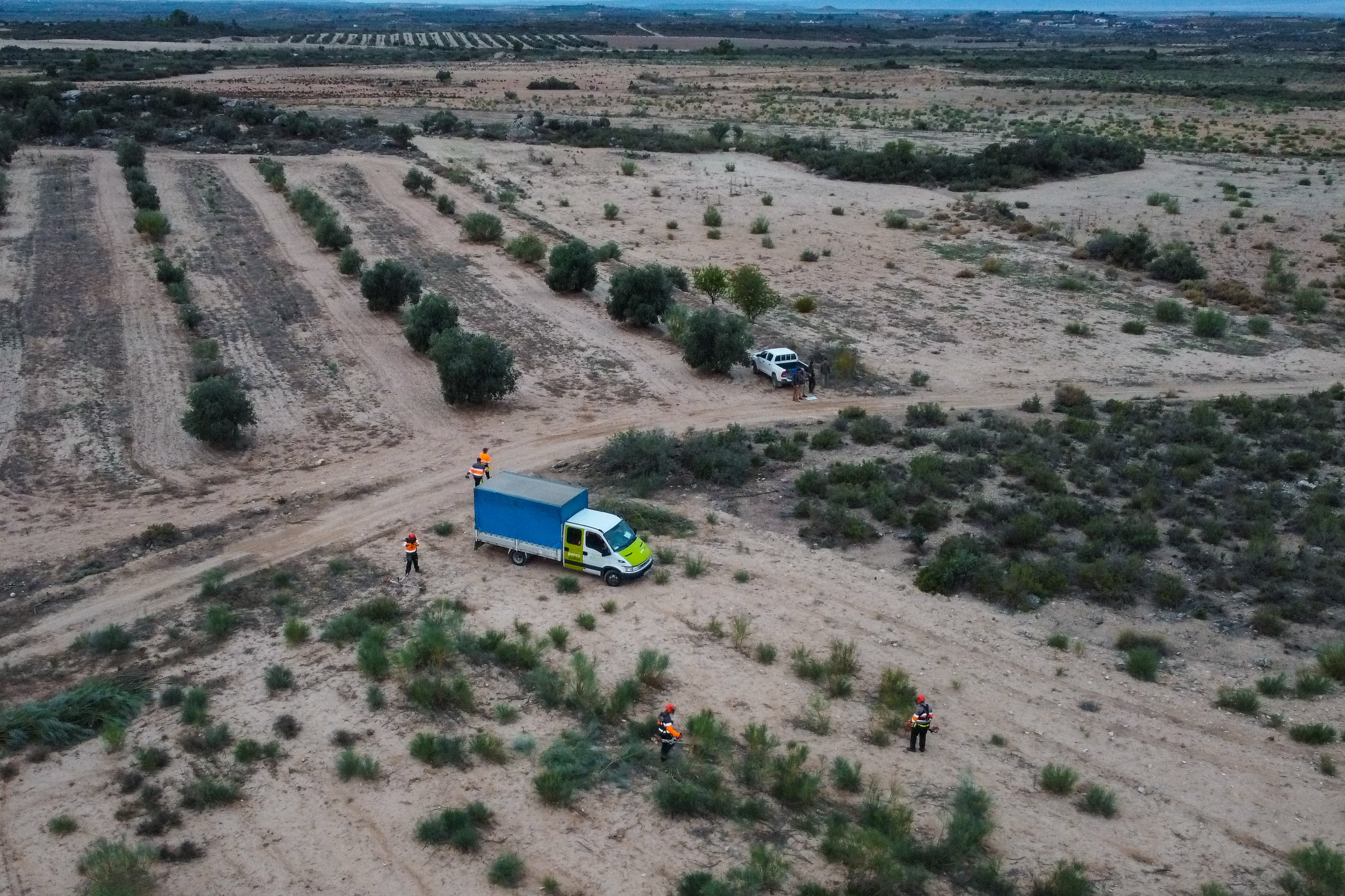 Aspros millora l’hàbitat de l’alosa becuda a la reserva natural de Mas de Melons-Alfés