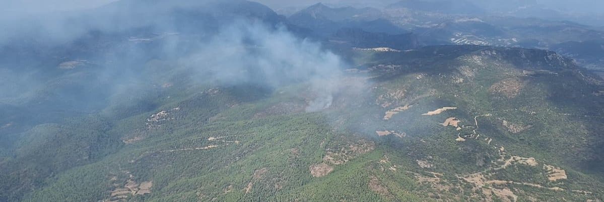 Estabilitzat l'incendi de vegetació forestal causat per llamps a la Baronia de Rialb