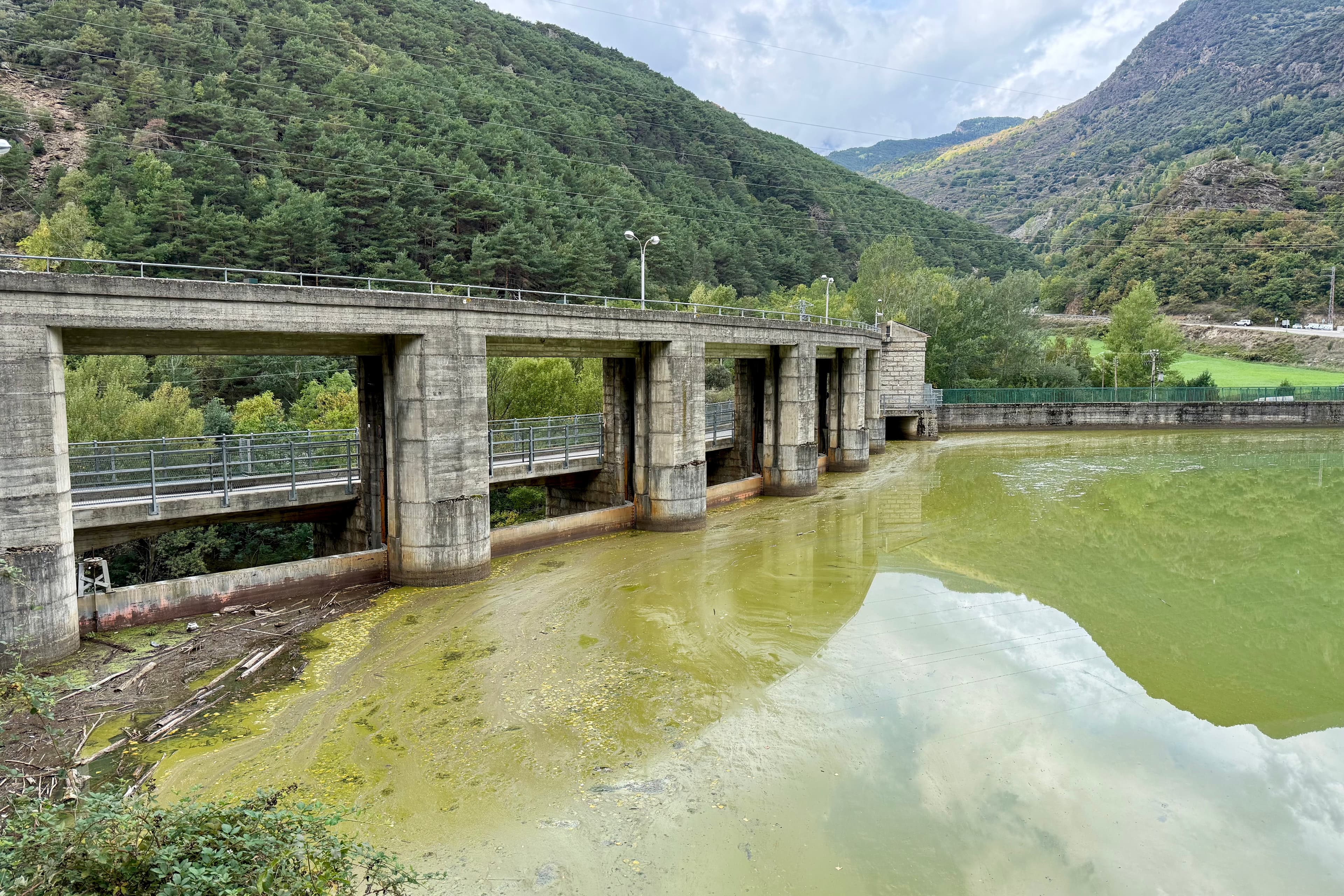 Les analítiques del pantà de la Torrassa descarten la presència de toxines a l’aigua