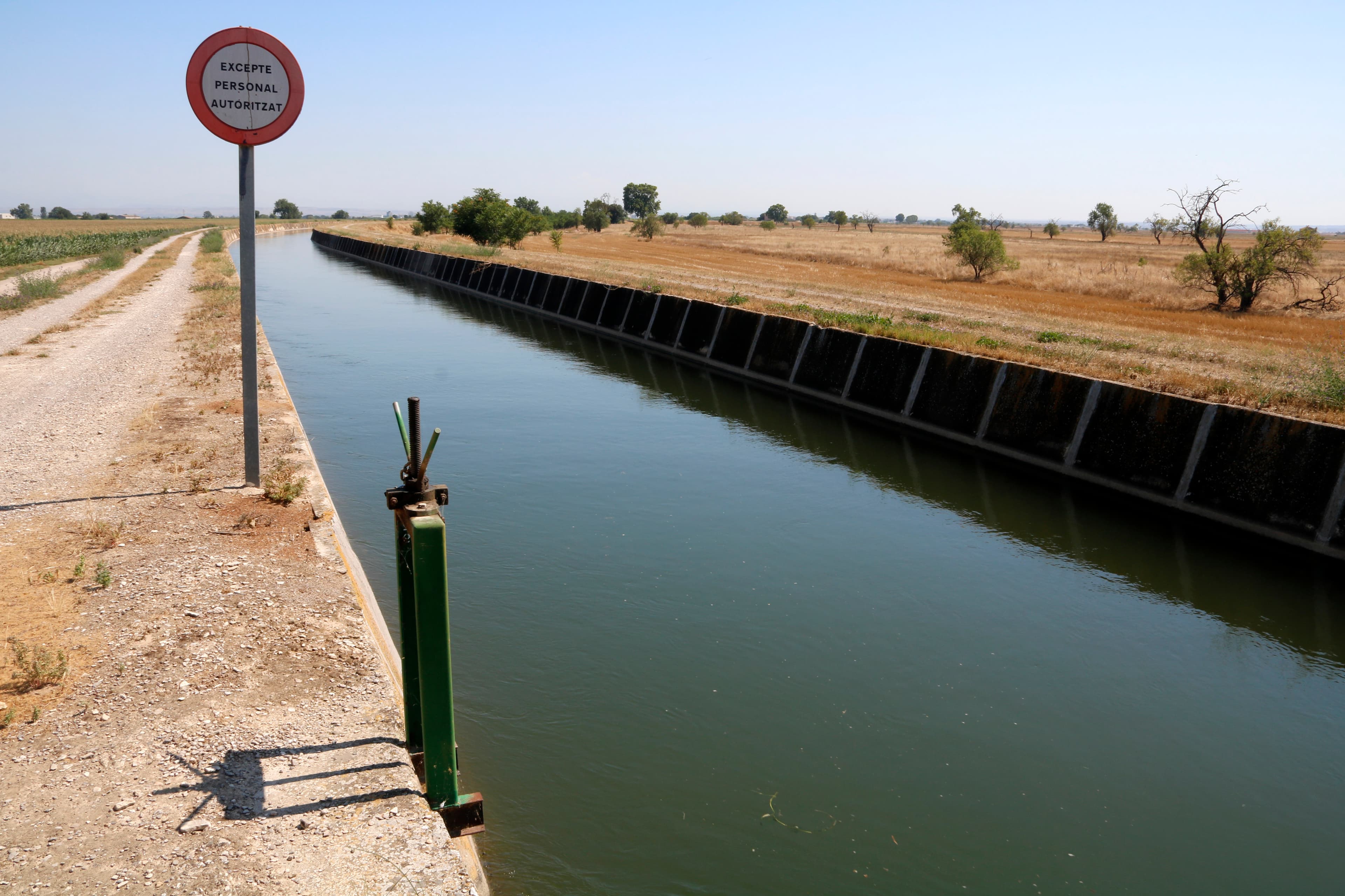 Mor un home en un accident al canal d’Urgell i detenen el conductor del vehicle, que va fugir sense socórrer la víctima
