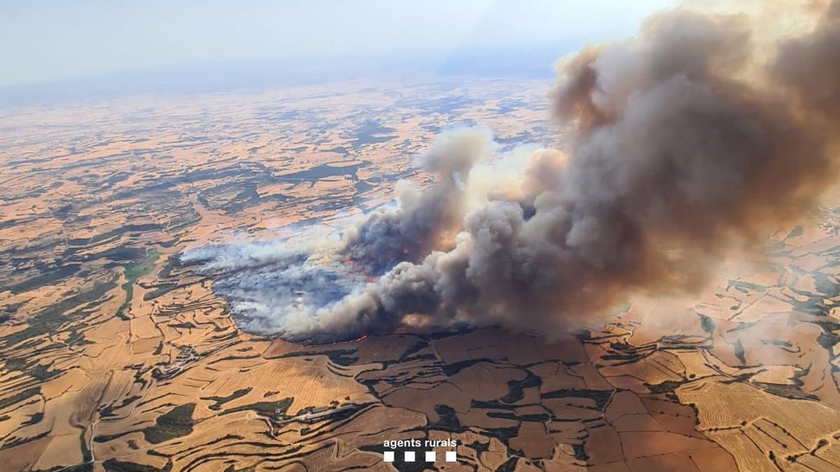 Pagesos de la demarcació de Lleida van declarar l’any passat un total de 6.345 hectàrees amb danys per incendis